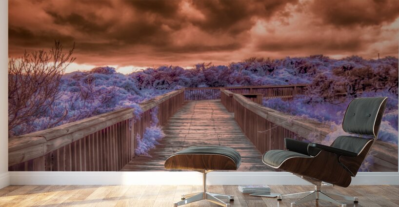 Pathway to Forever Wall Murals