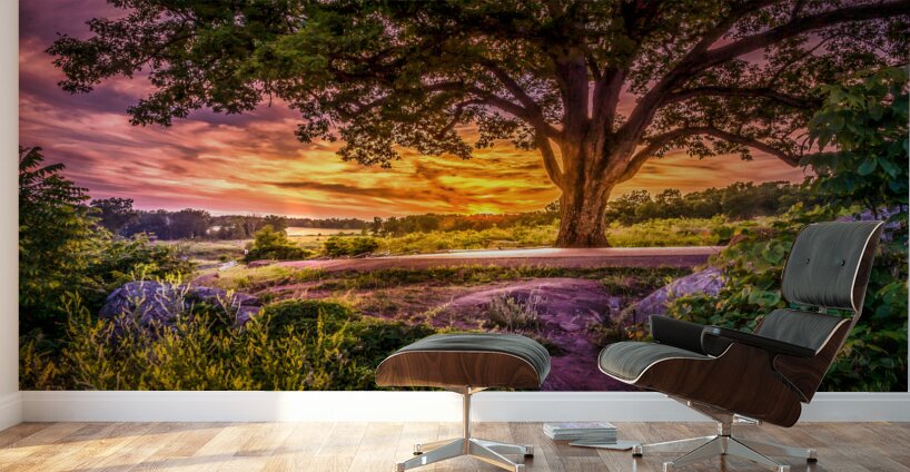 Fairytale Sunset Wall Murals