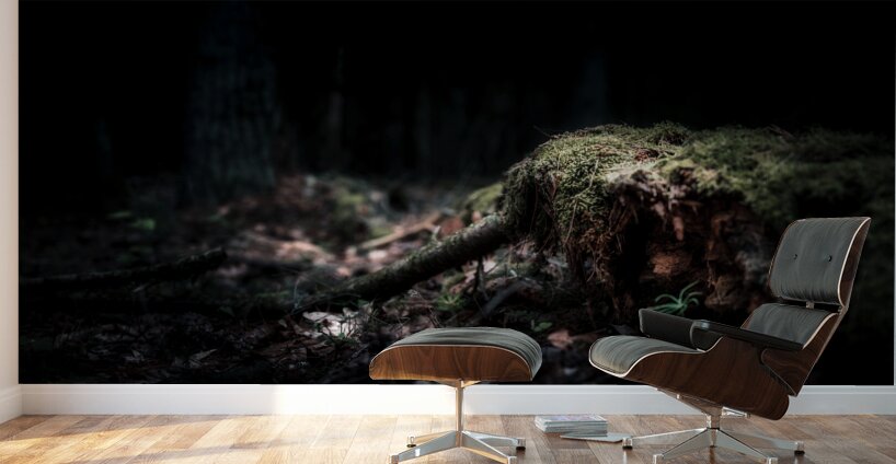 Veil of Quiet Elegance Wall Murals