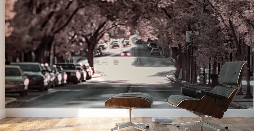 City in Bloom: Yorks Stroll Through Infrared Hues - Pano Wall Murals