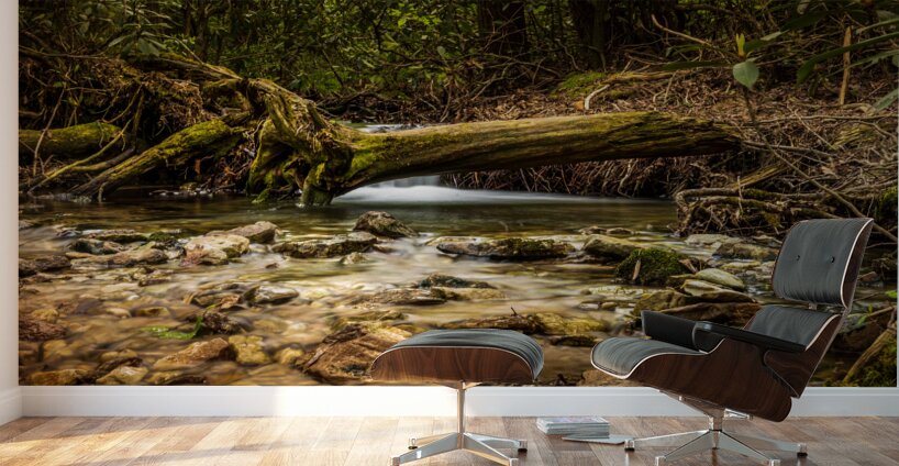 Hidden falls Wall Murals