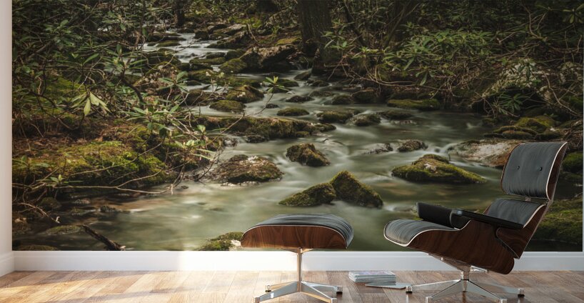 Mossy Rocks Wall Murals