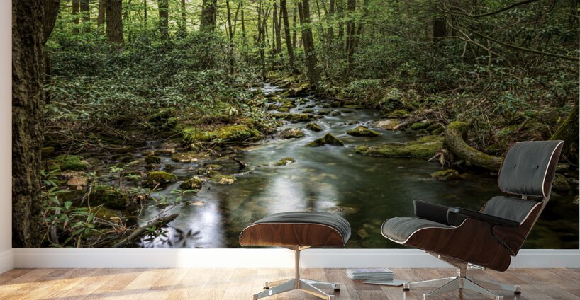 Forest Streams Light Dance Wall Murals