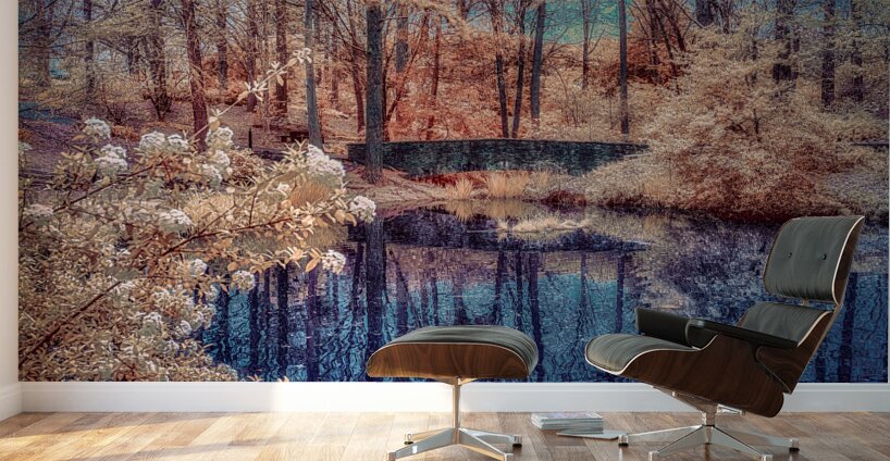 Colorful Reflecting Pond Wall Murals