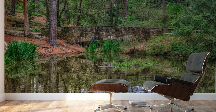 Tranquil Crossing Wall Murals