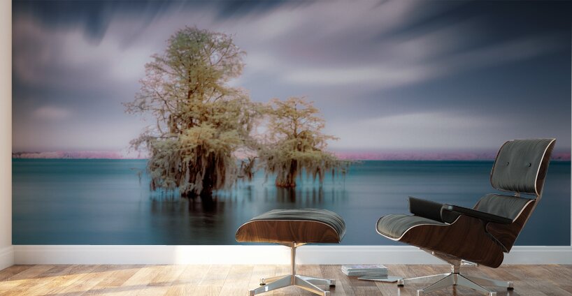 Big Brother Wall Murals