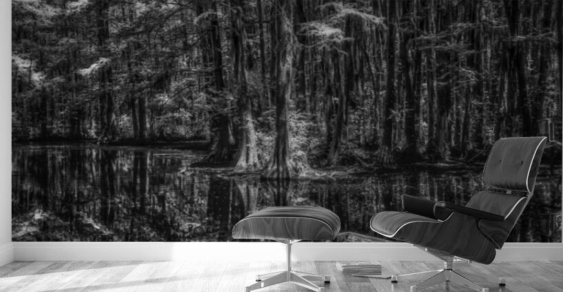 On Dry Land Wall Murals