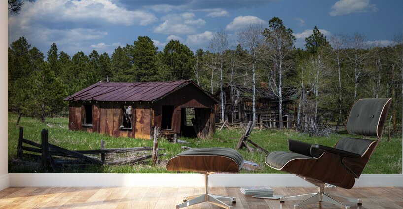 Forgotten Frontier: Ghost Town Garage Wall Murals