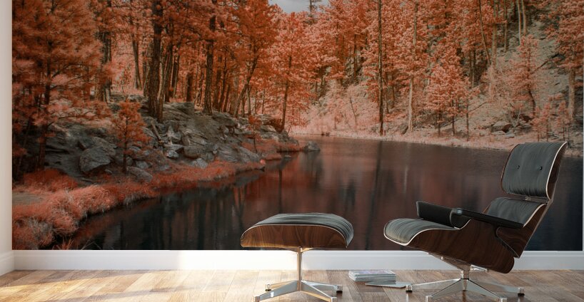 Pumpkin Skies at Coolidge Wall Murals