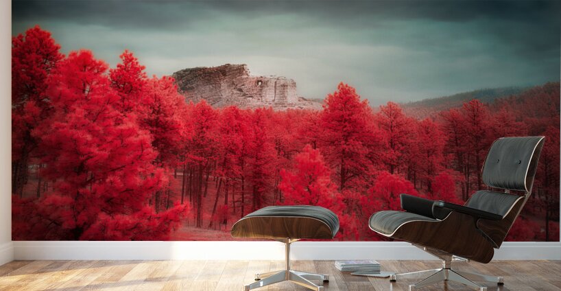 Crimson Dreamscape: Crazy Horse Wall Murals