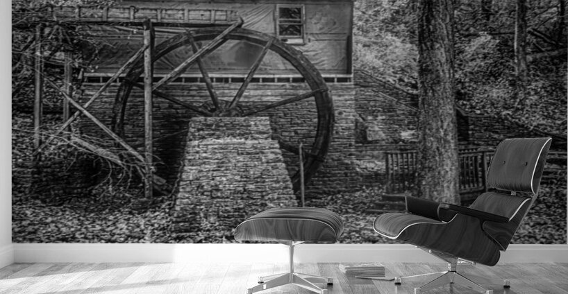 Whispers of Time: Rice Grist Mill Wall Murals