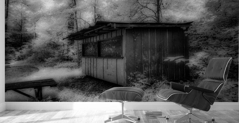 Tennessee Shed Wall Murals