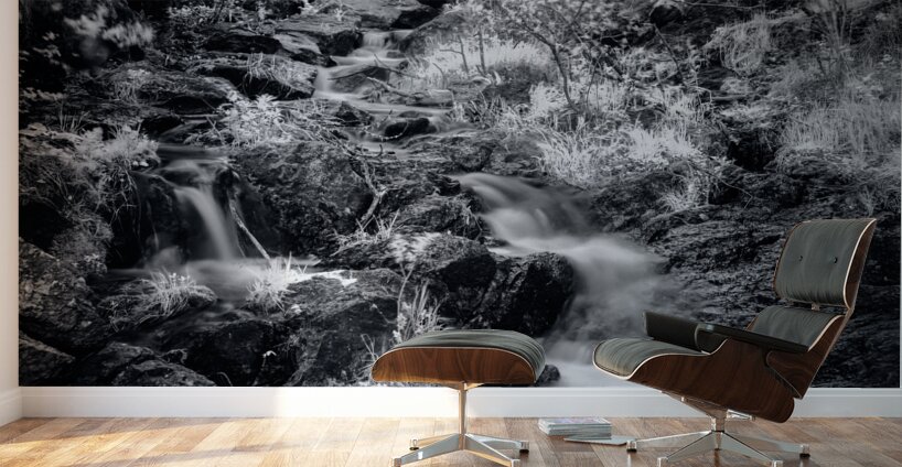 Bismarcks Silver Dance Wall Murals