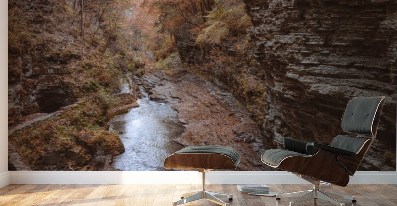 Autumn Gorge Wall Murals