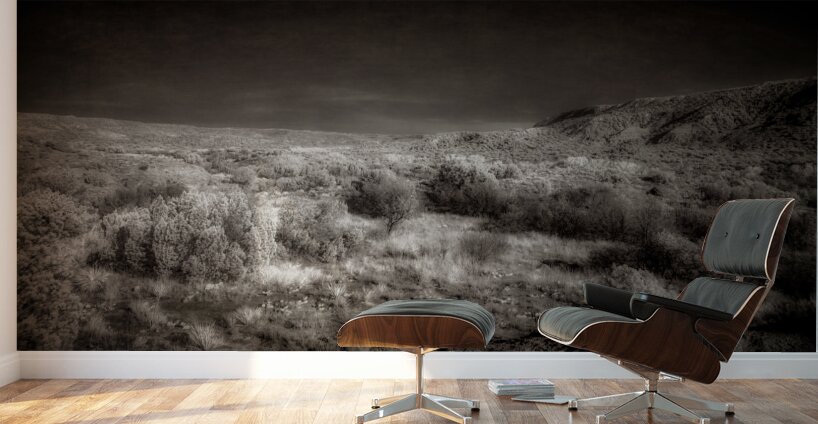 Aetherial Vistas: Palo Duro Canyon Wall Murals