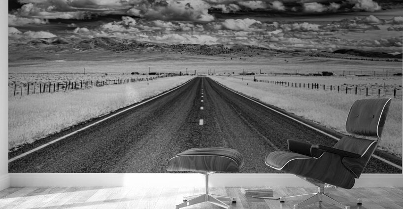 Horizons Embrace Wall Murals