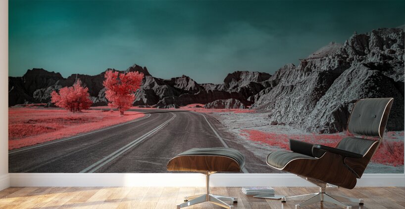 Badlands Passage Wall Murals
