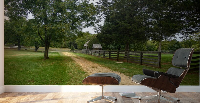 Green Serenity: Unveiling the Enchanting Path a Hidden House in Appomattox Courthouse Wall Murals