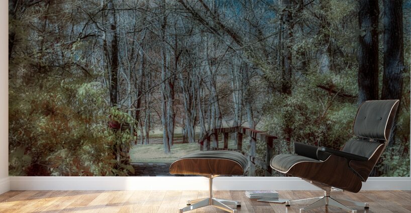 Vivid Trails: A Colorful Infrared Journey at Knox Dam Wall Murals