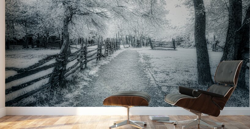 Rustic Reverie: Exploring the Historic Farm Trails Wall Murals