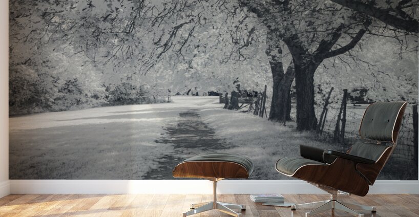 Farm Path - 3 Wall Murals