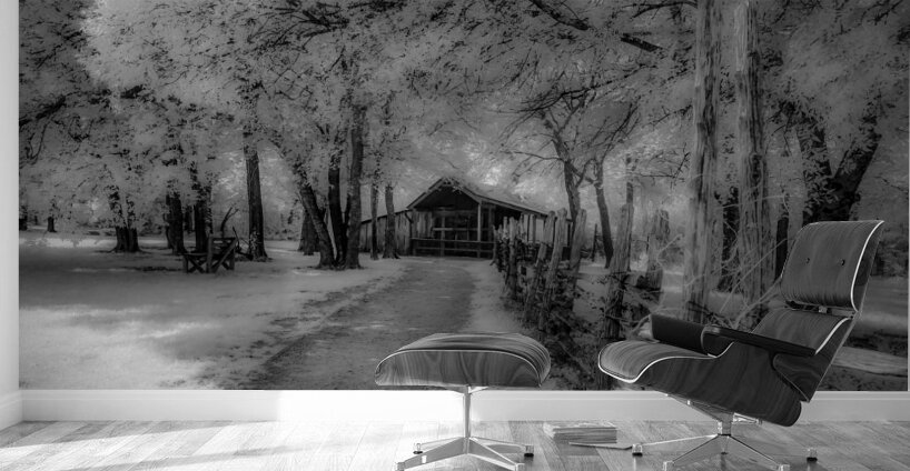 Barn Path Wall Murals