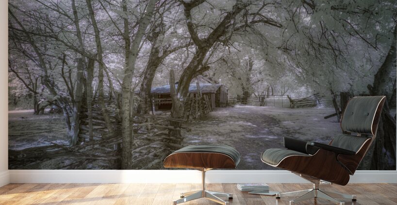 Farm path - 1 Wall Murals