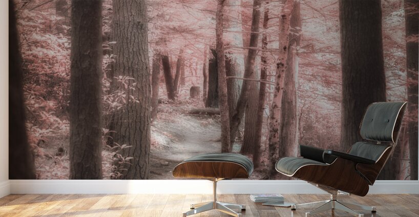 Mystical Forest Walk Wall Murals