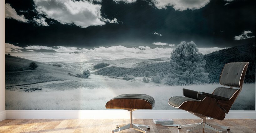 Dreamlike Horizon: Marysville Montana Wall Murals
