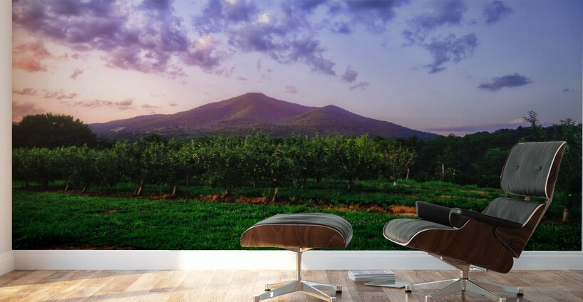 Light Peaks of Otter Wall Murals