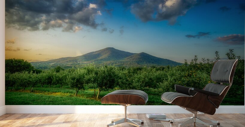 Peaks of Otter Wall Murals