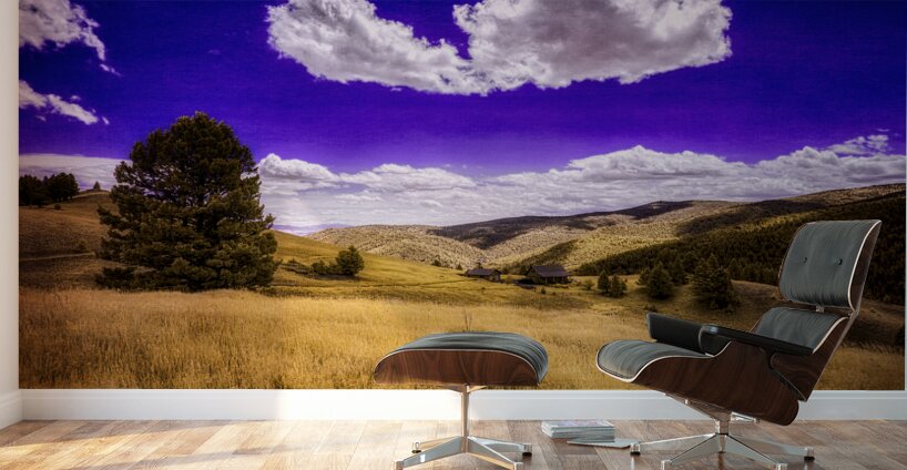 Dreamlike Horizon: Prairies Royal Symphony Wall Murals