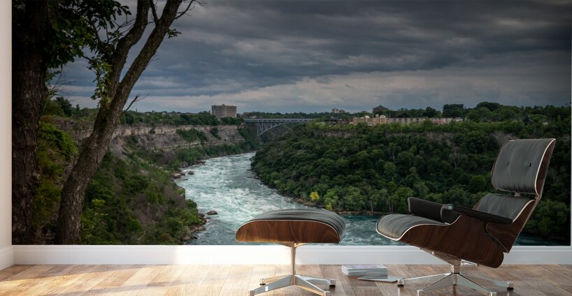 Soaring over the Whirlpool Wall Murals