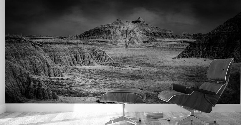 Solitary Sentinel of the Badlands Wall Murals