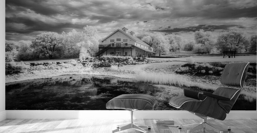 Ethereal Oasis: A Day at Bodega Winery Wall Murals