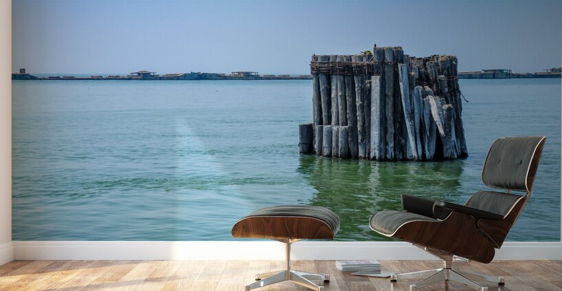 Pier Pilons Wall Murals