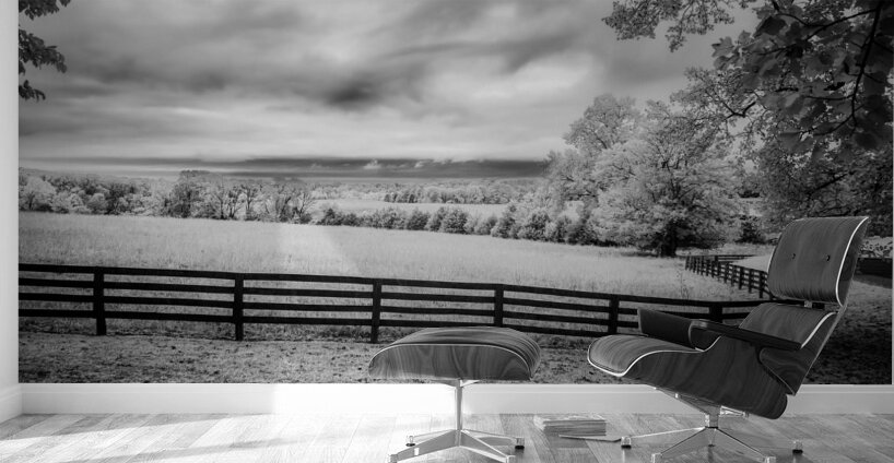 Silent Echoes of History: Exploring Appomattox Courthouse Battlefield Wall Murals