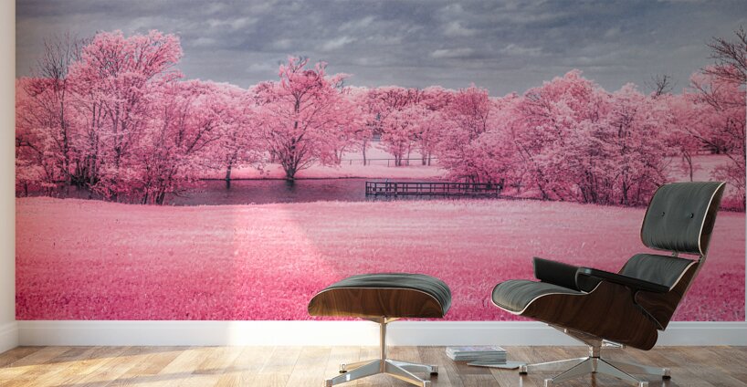 Exploring Texas: A Cotton Candy Roadside Pond Wall Murals