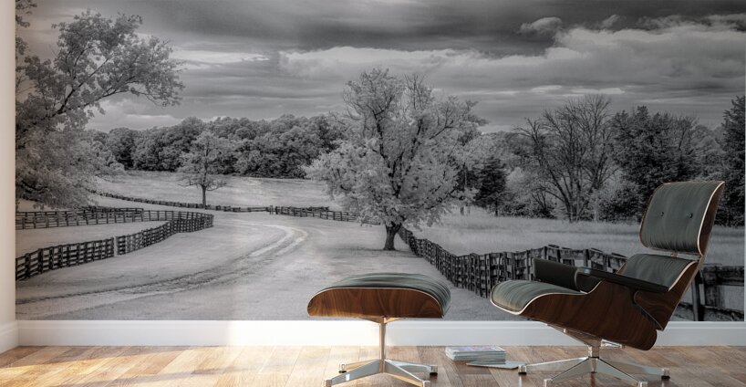 Journey Beyond: Traversing the Worn Road of Appomattox Courthouse Town Wall Murals