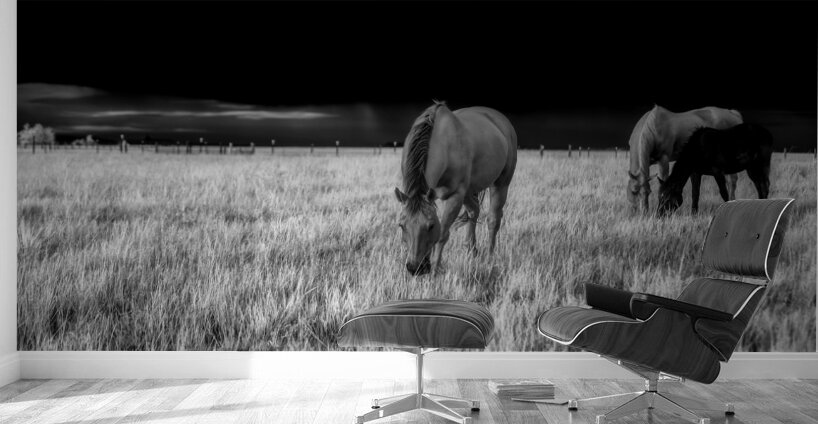 Tranquil Pastoral Serenity Wall Murals