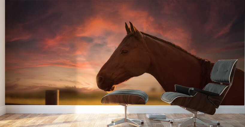 Dreams Beyond the Fence Wall Murals