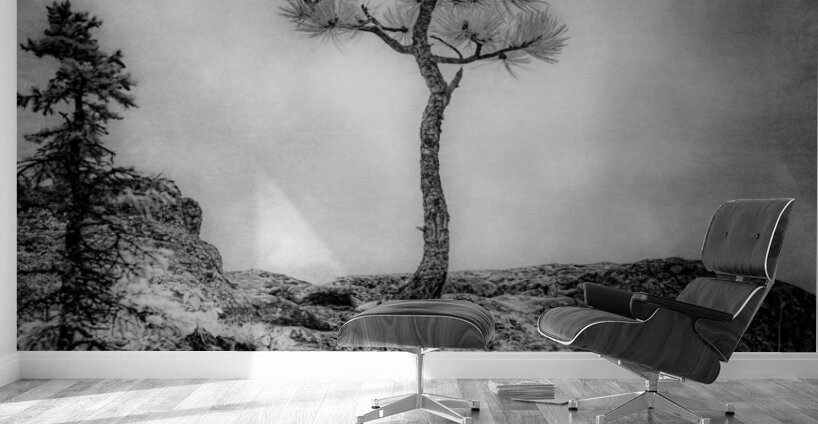 Serene Sylvan Lake: Alone on the Hill Wall Murals