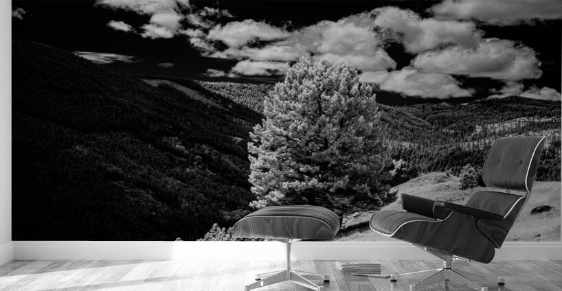 Marysville Lone Tree Wall Murals