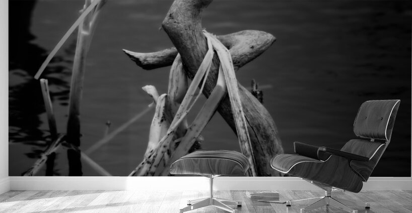 Sylvans Skeleton Waltz Wall Murals