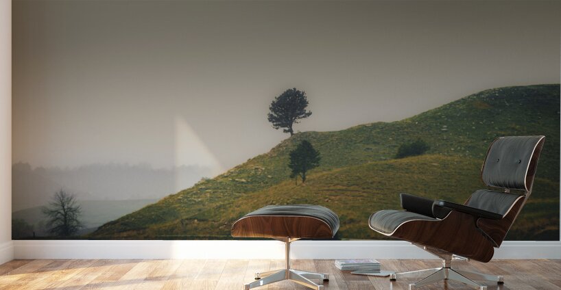 Solitary Sentinels: Misty Isolation Wall Murals