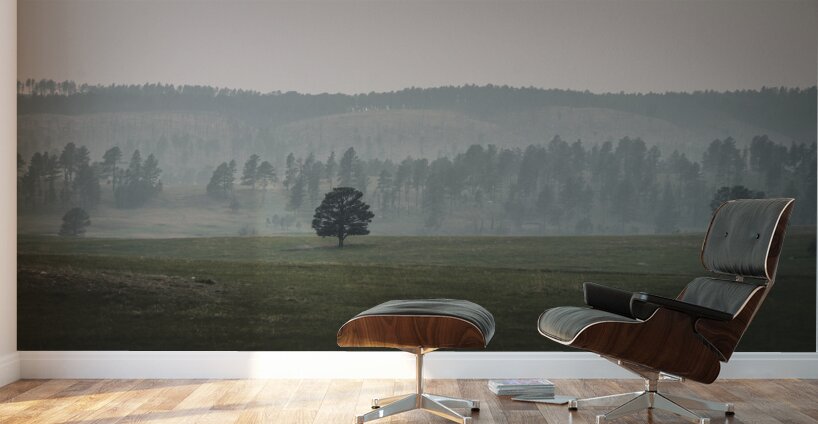 Solitudes Symphony: A Journey Through Custers Wildlife Loop Wall Murals