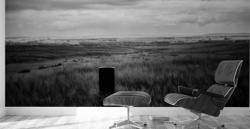 Alone Forever Wall Murals