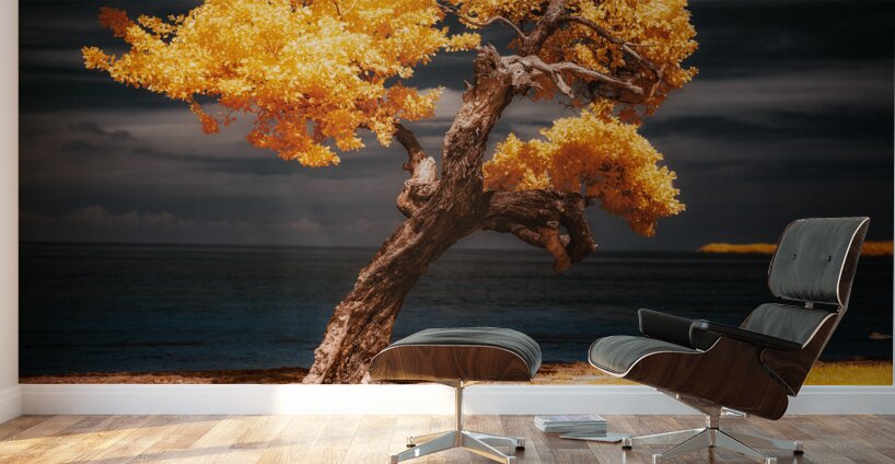 Golden Guardian: A Mystical Tree on Sunshine Key Wall Murals