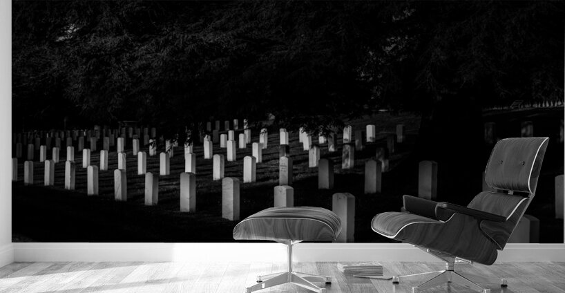 Silent Solace: Gettysburg National Cemetery Wall Murals