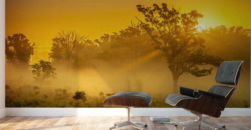 Misty Morning Glow: Dawn in Gettysburg Wall Murals